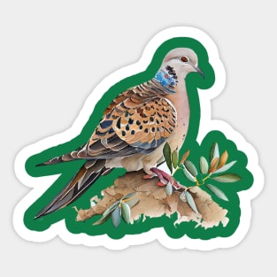 Turtle Doves Watercolor 3.0 Sticker